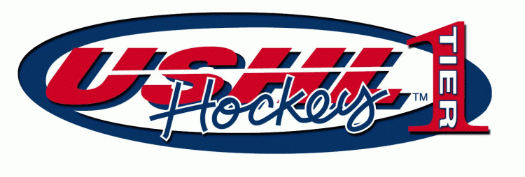 united states hockey league 2002-2004 alternate logo iron on heat transfer
